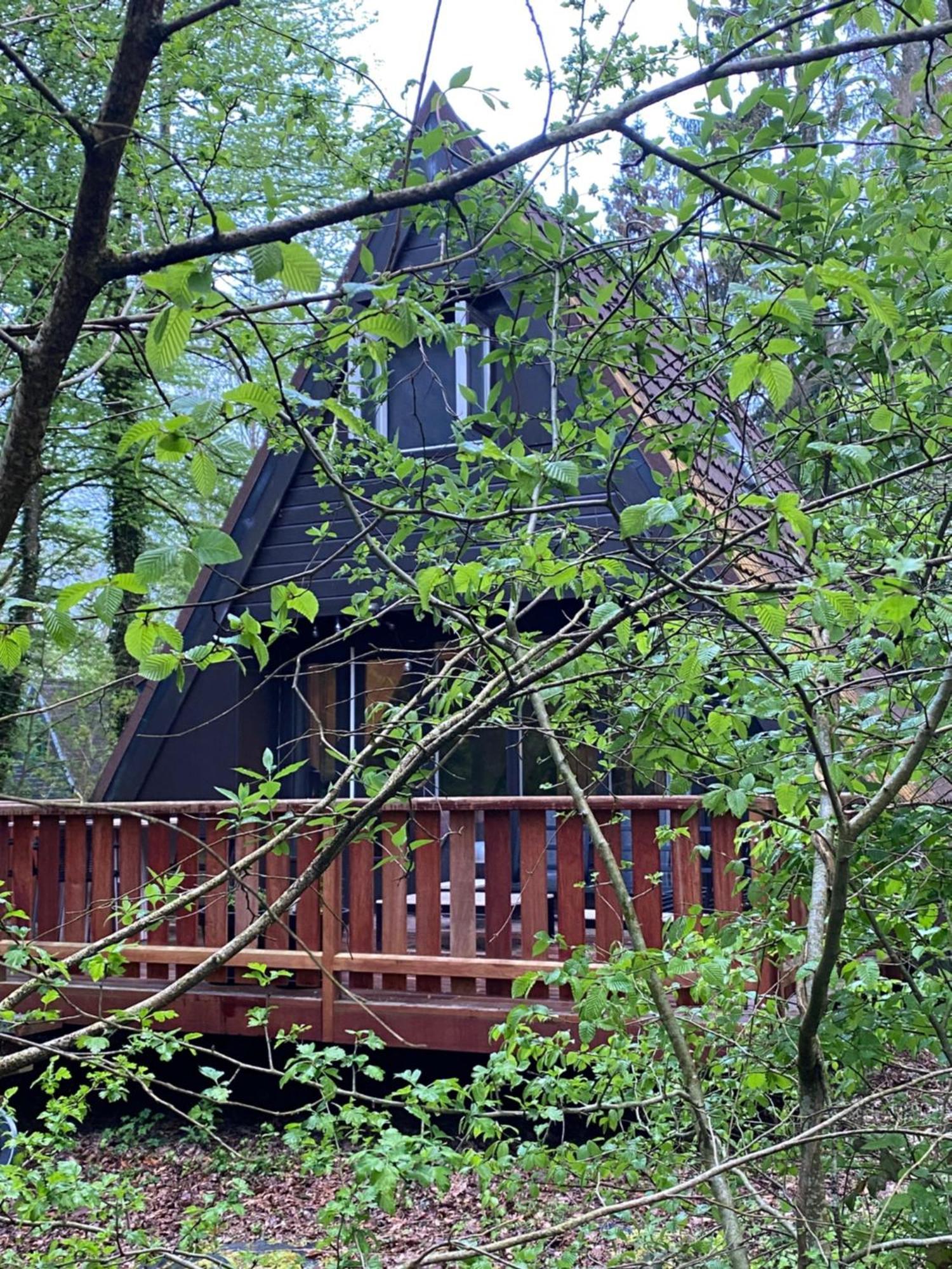 דורבורי Chalet 228 מראה חיצוני תמונה